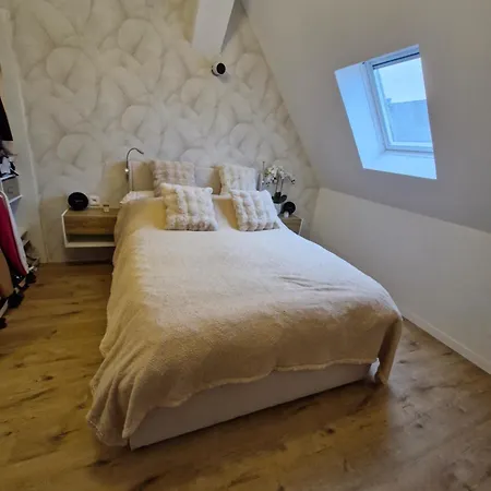 Apartamento L'escapade Rhinau